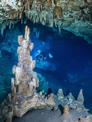 Speleothem with diver in the background in the cenote Dos... by Brenda De Vries 